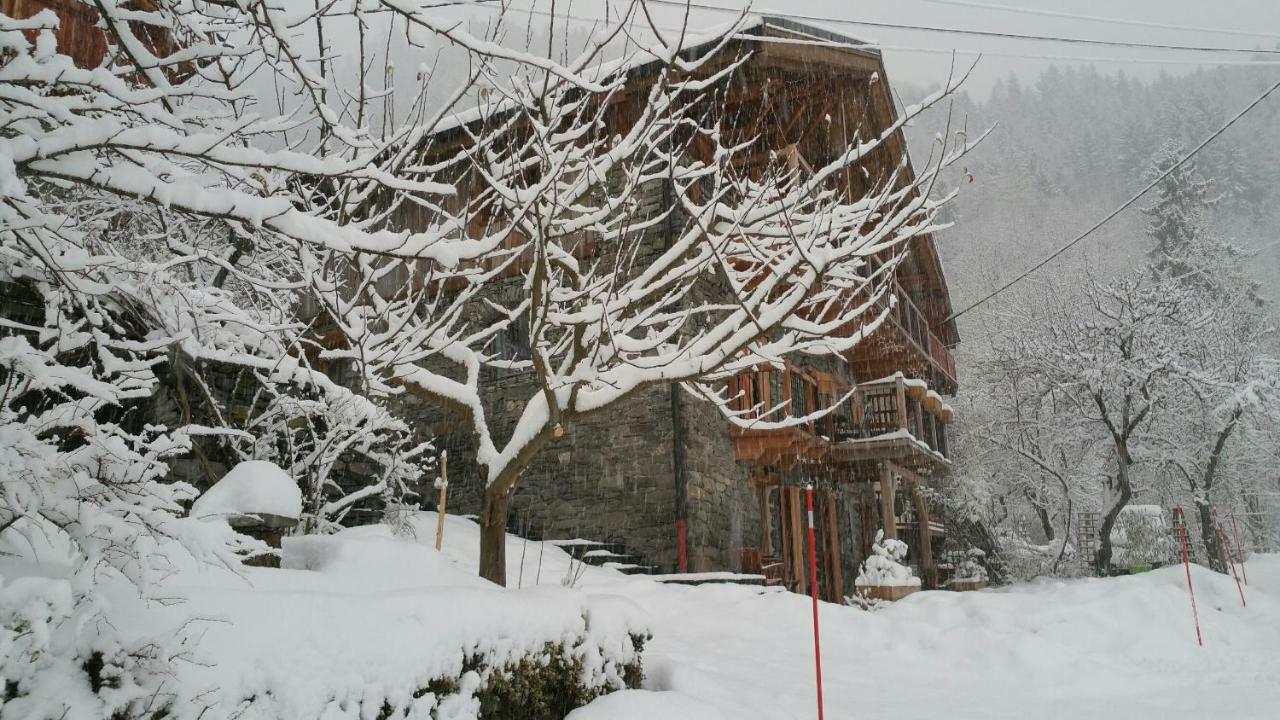 Chalet Zenarcs Bourg-Saint-Maurice Exteriér fotografie
